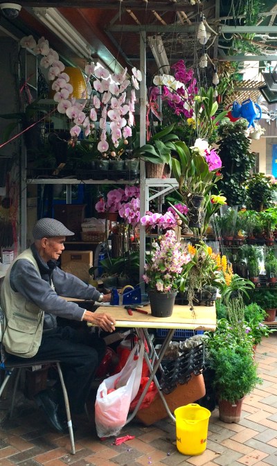     this old guy just sat there looking bored with an unlit cigarette in his mouth for most of the time I was there, until he finally lit it and smoked it like an old Chinese James Dean. The orchids he has are unbelievably beautiful - especially the one right in front of him.