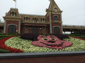 look at those flowers!